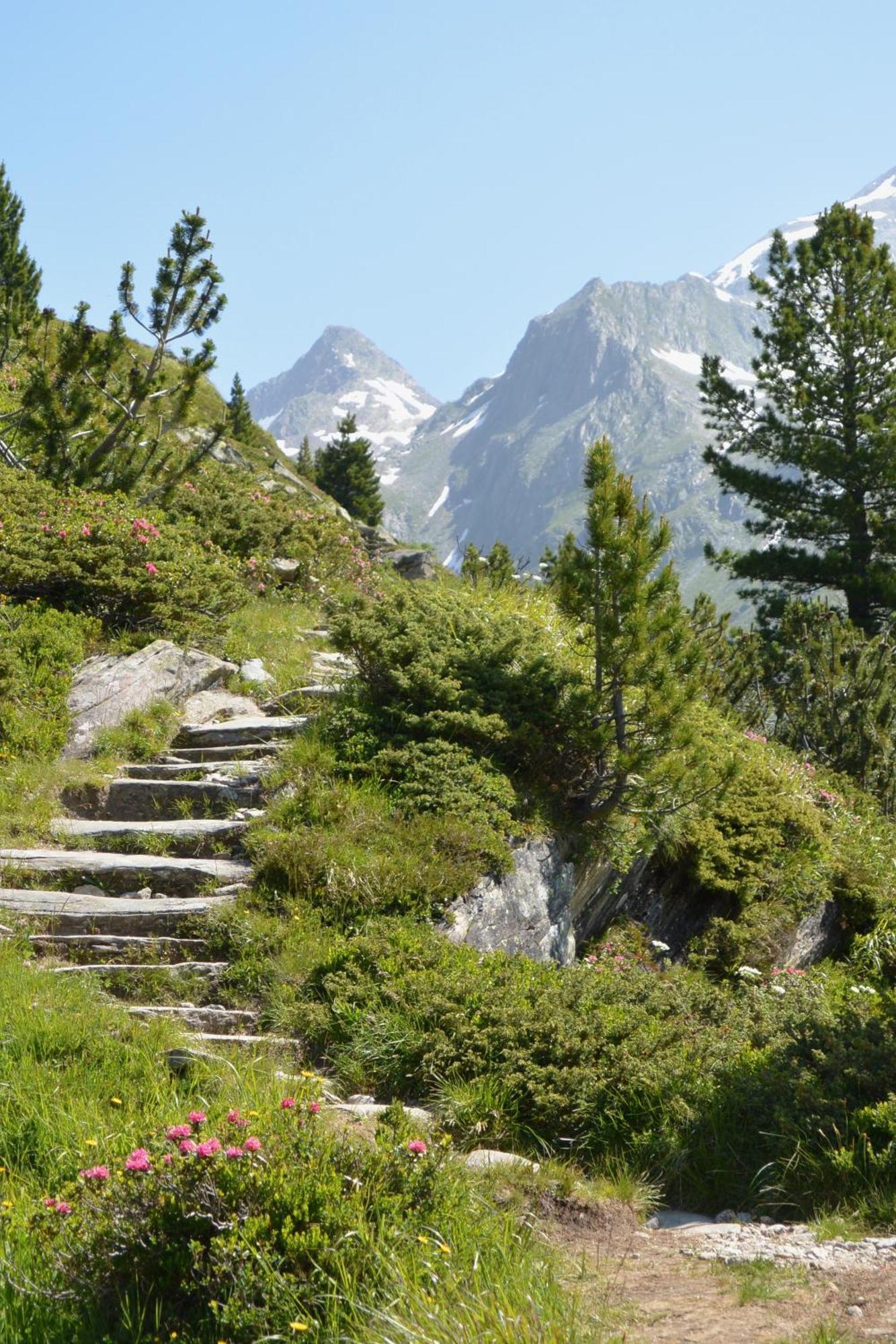 Apparthotel "Landhaus Veronika" Mayrhofen Kültér fotó